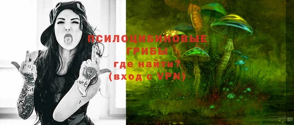 тгк Алзамай